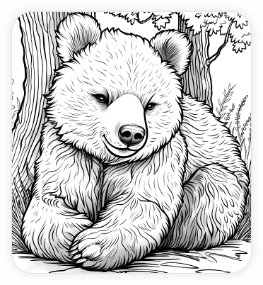 bear